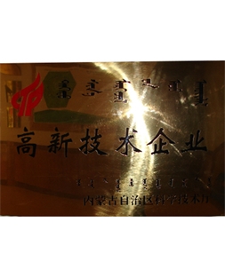 高新技術(shù)企業(yè)